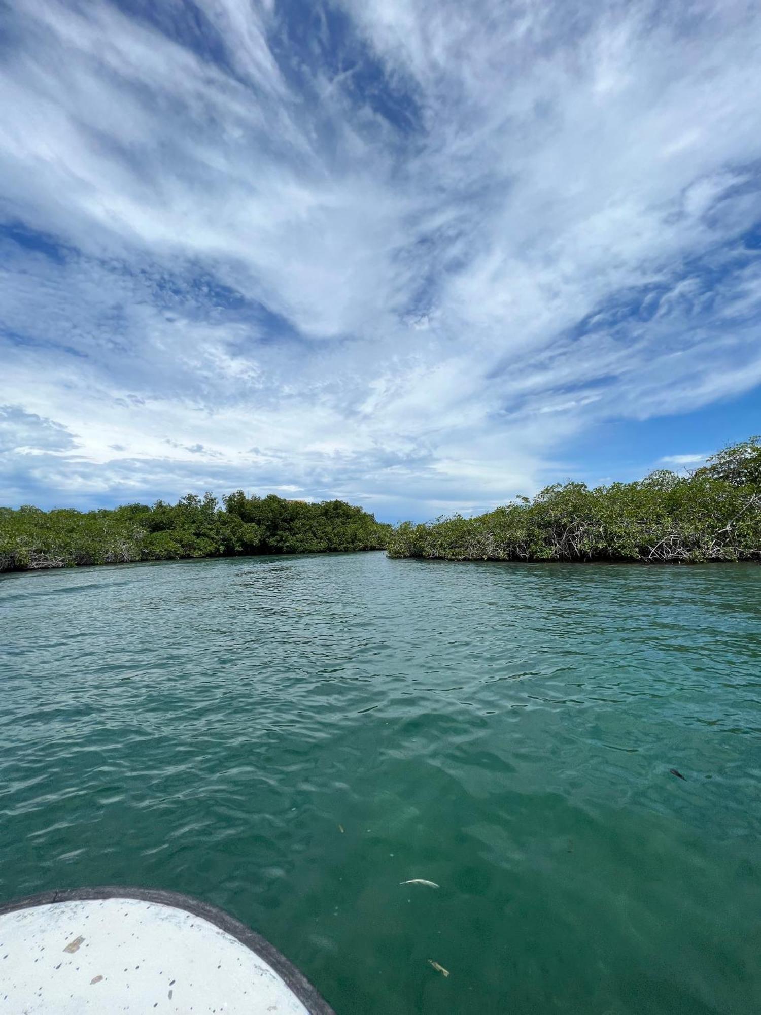 Tintipan Hotel Tintipan Island ภายนอก รูปภาพ